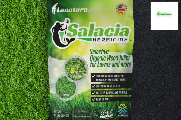 Pet-Safe Organic Weed Control for a Green, Safe Yard