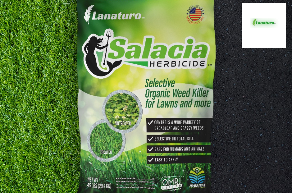 Pet-Safe Organic Weed Control for a Green, Safe Yard