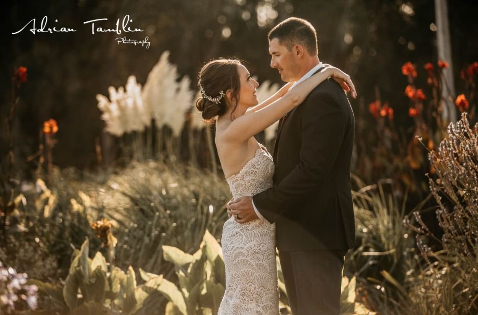 Capture Your Dream Day in Sonoma’s Golden Light