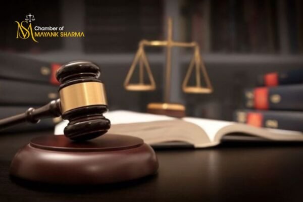 Top debt settlement expert for fair, straightforward guidance