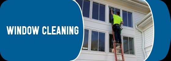 Expert Carpet Care for Suffolk Homes