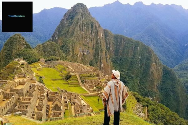 Stay Ahead in Travel: Industry Insights and Trends