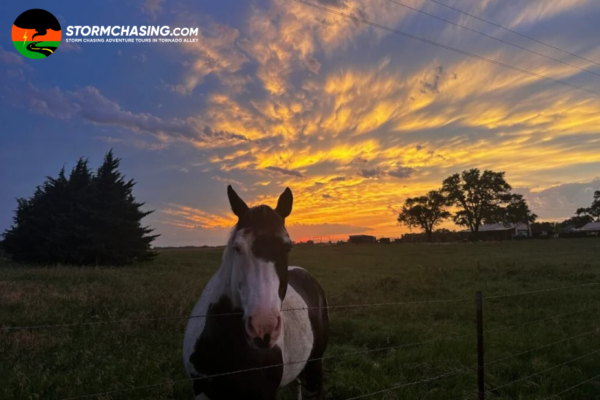 Chase the Skies: Guided Storm Adventure Tours