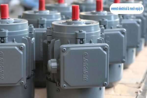 Reliable Industrial Motors for Efficient Performance