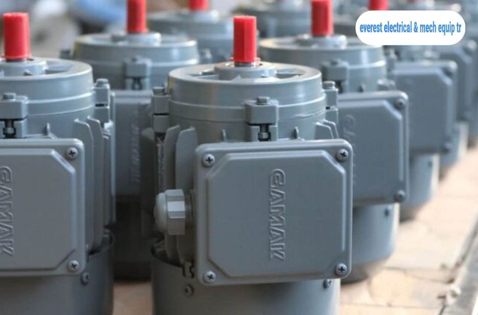 Reliable Industrial Motors for Efficient Performance