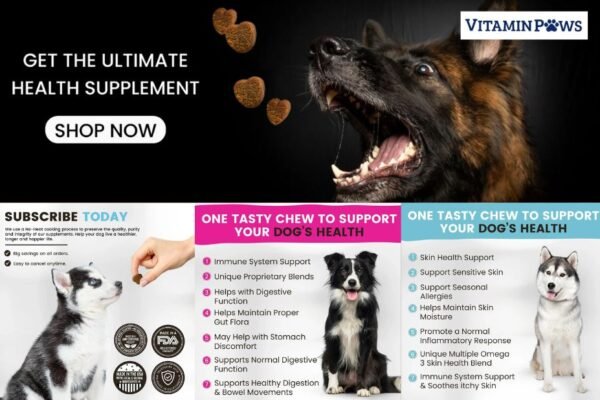 Boost Your Dog’s Natural Defences with Trusted Nutrients