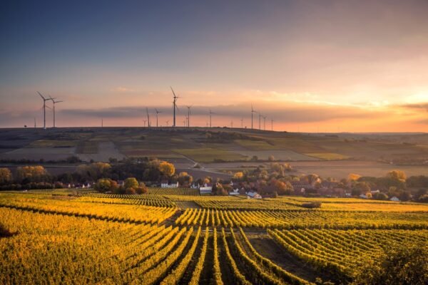 Smart Gadgets for a Connected Home: Discover Modern IoT Solutions
