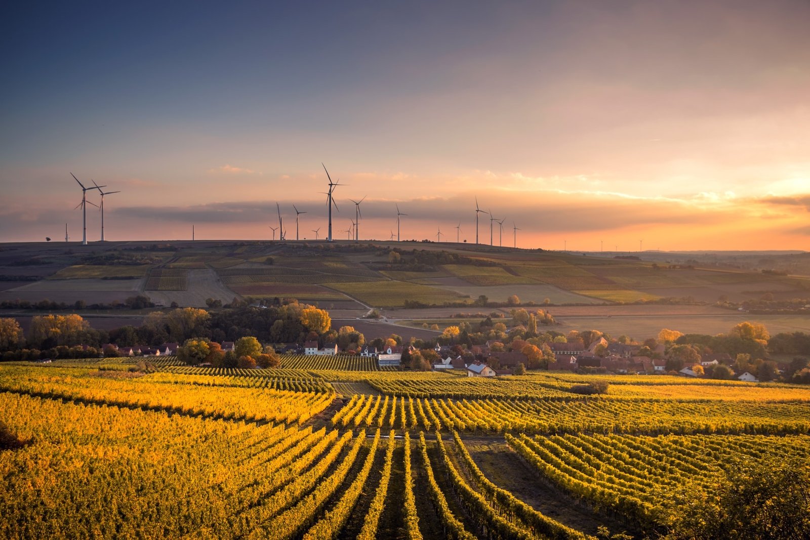 Smart Gadgets for a Connected Home: Discover Modern IoT Solutions