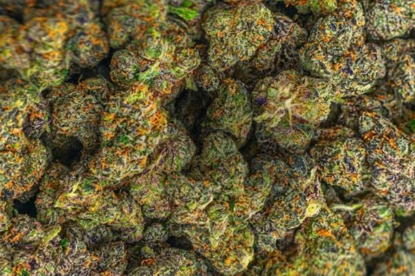 Premium Cannabis USA: Elevate Your Experience with Quality, Purity, and Choice