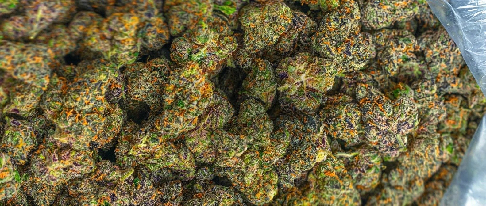 Premium Cannabis USA: Elevate Your Experience with Quality, Purity, and Choice