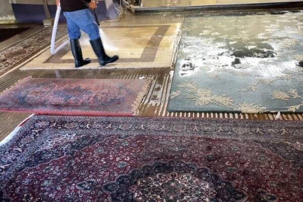 Professional Rug Cleaning Solutions for Homes in San Jose