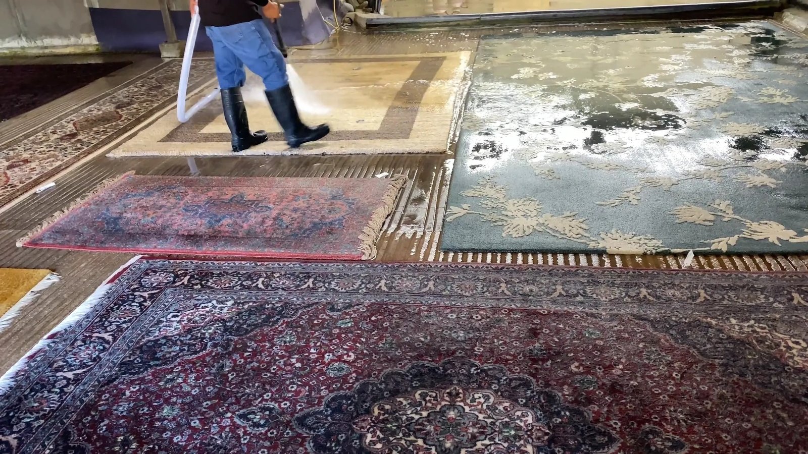 Professional Rug Cleaning Solutions for Homes in San Jose