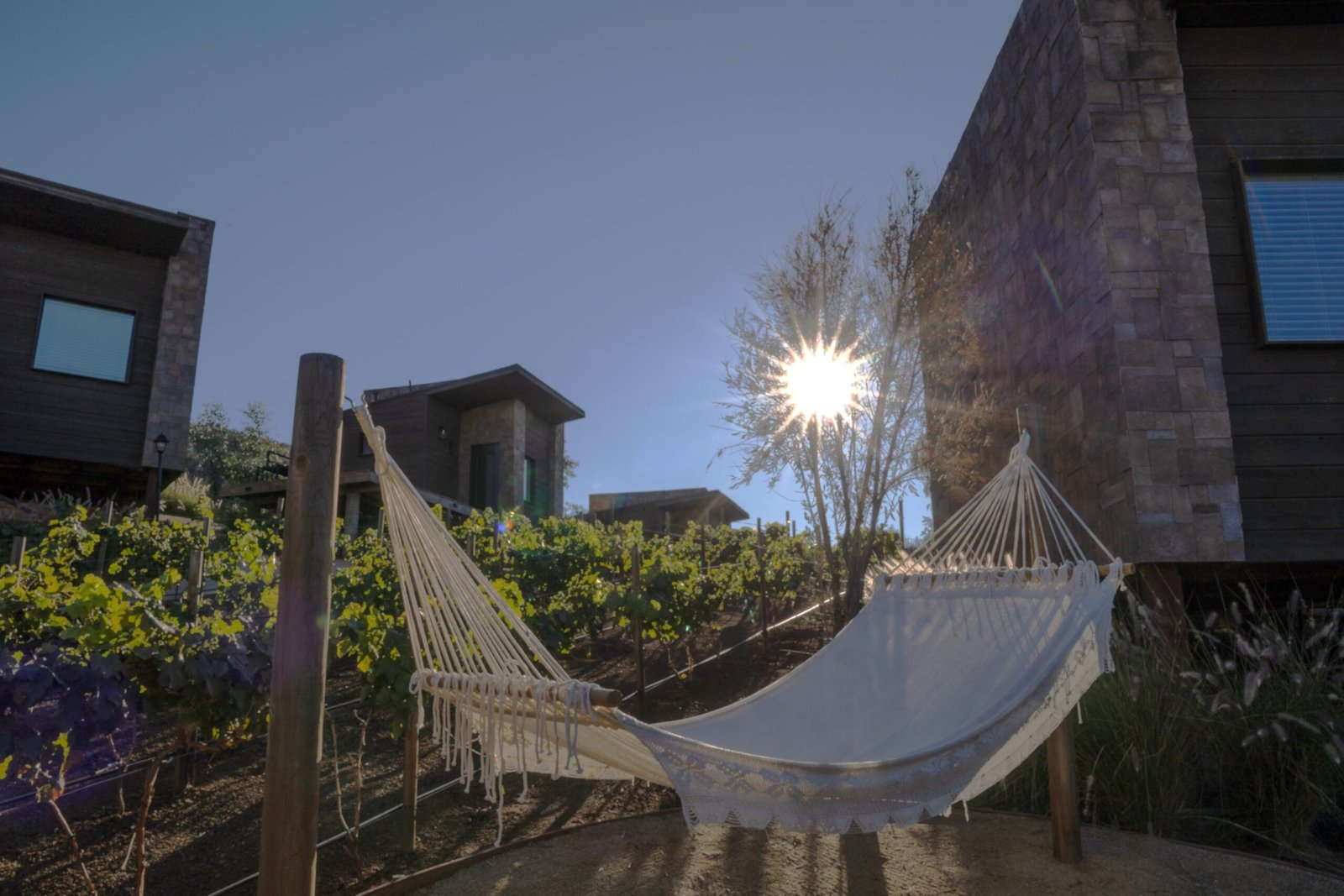 Premium escapes in Baja California’s wine country