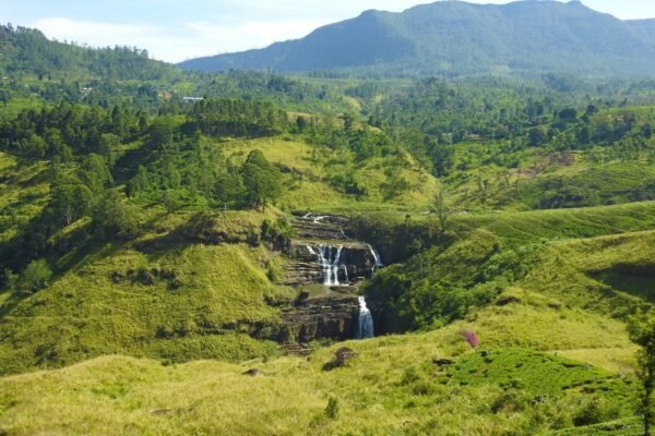 Curated Sri Lanka Escapes: Bespoke Holidays and Hidden Gems