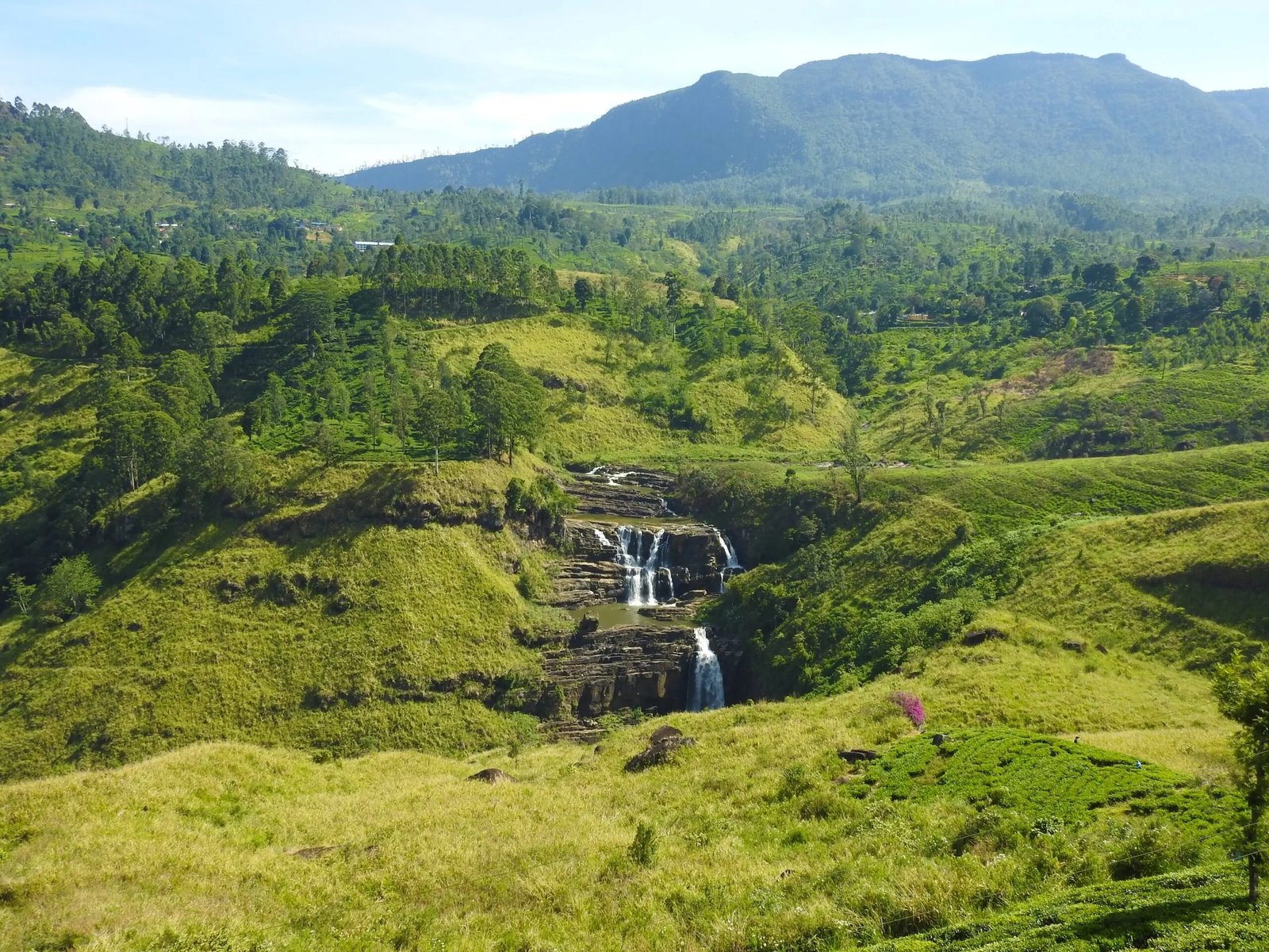 Curated Sri Lanka Escapes: Bespoke Holidays and Hidden Gems