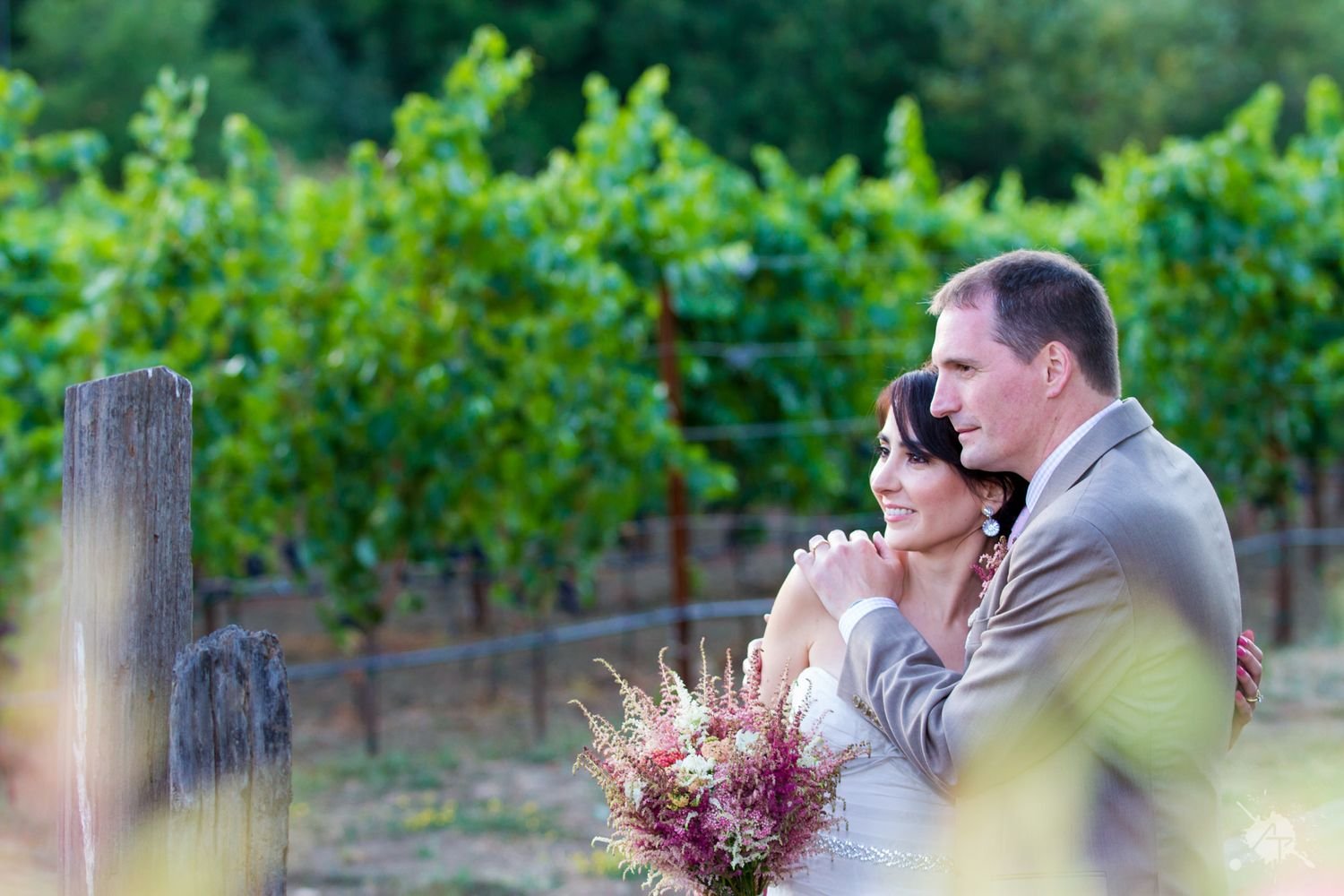 Senior Public Sector Photography in Santa Rosa