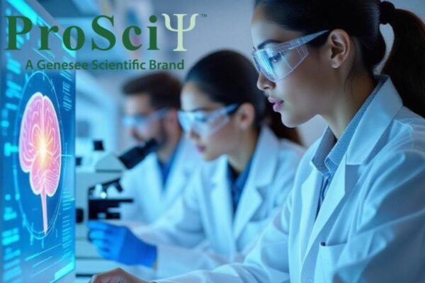 Enhance Western Blot Clarity with an Optimal Blocking Solution
