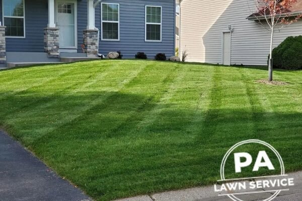 Find Top Local Irrigation Pros for Efficient Lawn Care