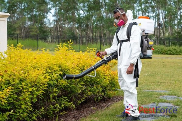 Expert Bee Relocation in Calgary — Safe, Humane & Local