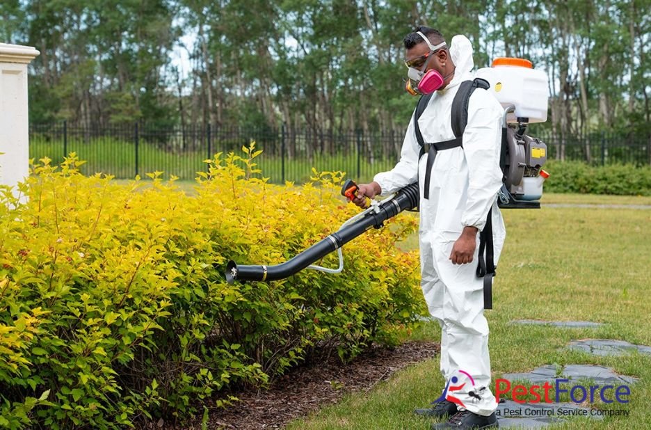 Expert Bee Relocation in Calgary — Safe, Humane & Local
