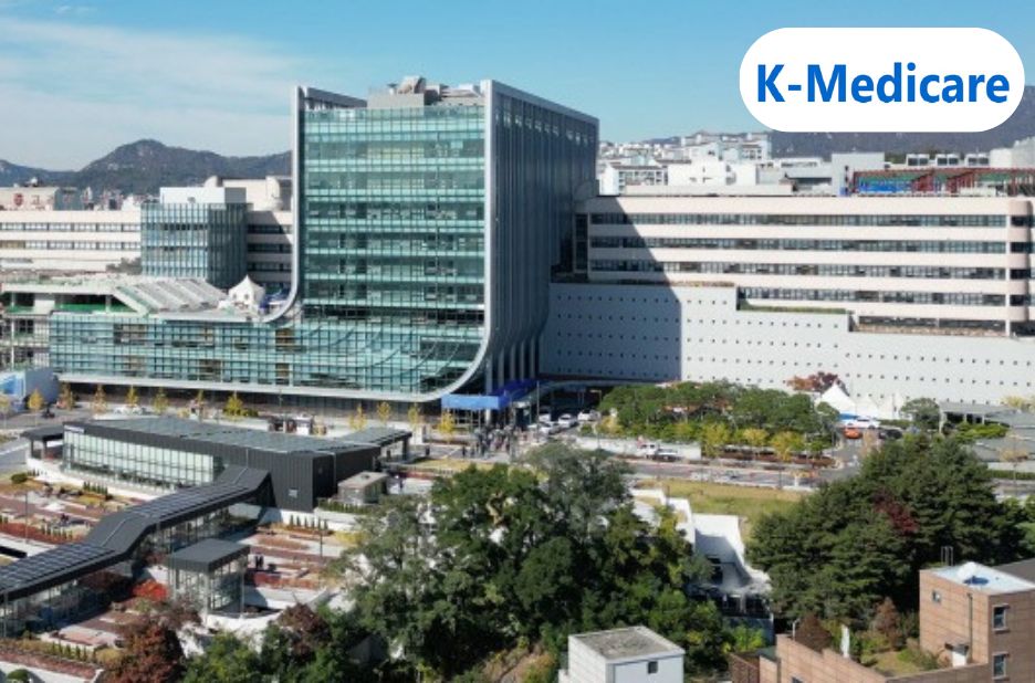 Executive Health Screening Korea: Peace of Mind for Busy Professionals