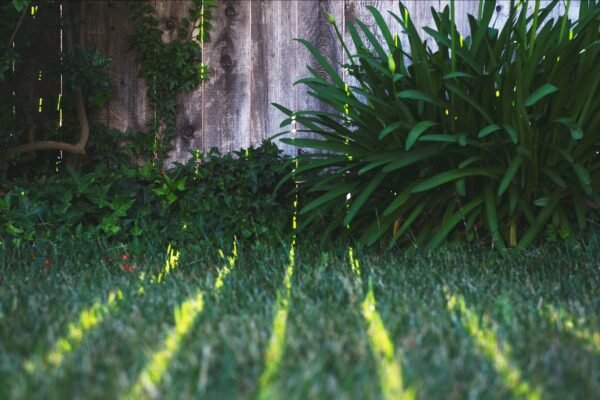 Transform Your Outdoor Space: Bristol Garden Redesign Ideas