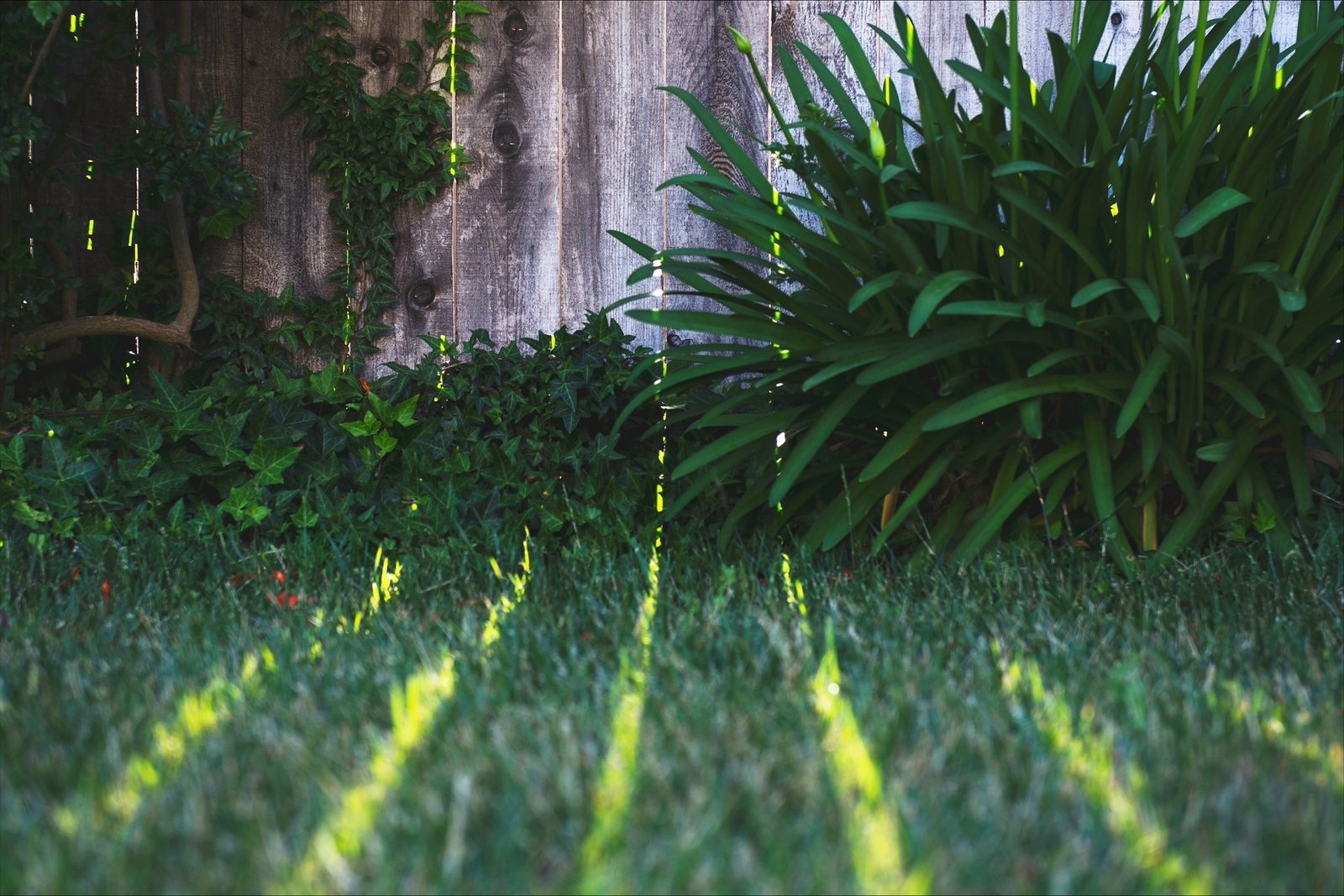 Transform Your Outdoor Space: Bristol Garden Redesign Ideas