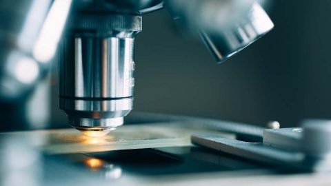 Premium Alpha-Synuclein Protein for Research Excellence