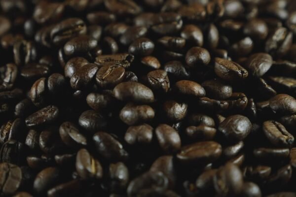 Discover Freshly Roasted Beans and Bold Flavour Journeys