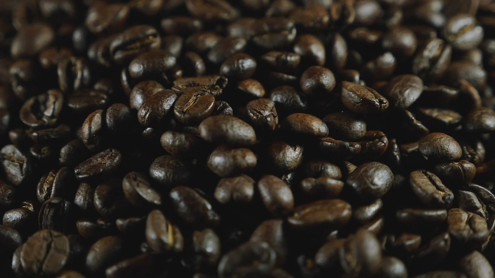 Discover Freshly Roasted Beans and Bold Flavour Journeys