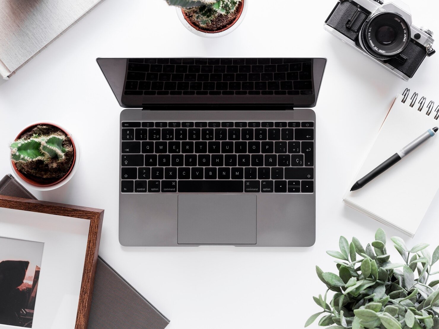 Reliable Dell Laptop Distribution for Syria Suppliers
