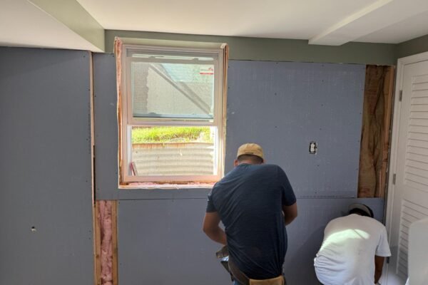 Towson Mold Experts You Can Trust for Safe, Lasting Remediation