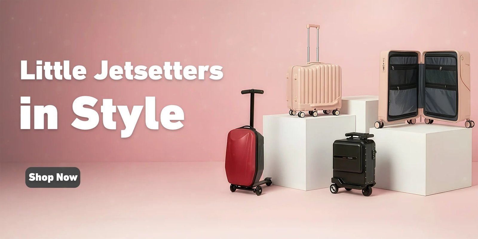 Premium Aluminium Cases for Effortless Travel in Style