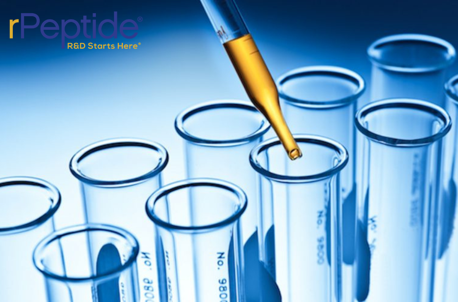 Exploring Abeta 1-42: Insights into Alzheimer’s Research and Peptide Studies