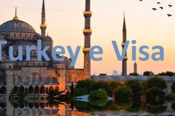 Verify Your Turkish Visa Status Online Quickly