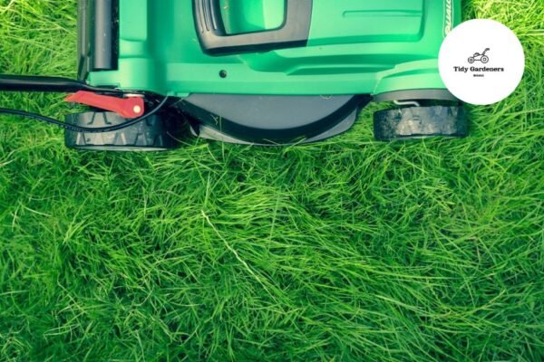 Fast, Reliable Lawn Mowing in Bristol – Same Day Service