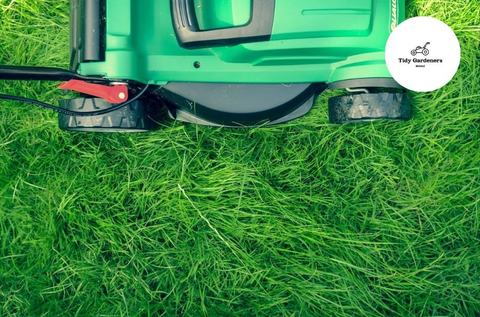Fast, Reliable Lawn Mowing in Bristol – Same Day Service