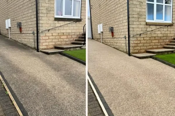 Protect Your Roof: Trusted Moss Removal Services for Homes