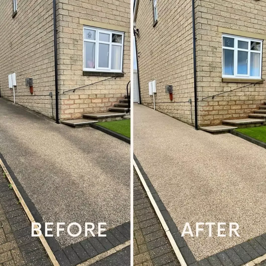 Protect Your Roof: Trusted Moss Removal Services for Homes