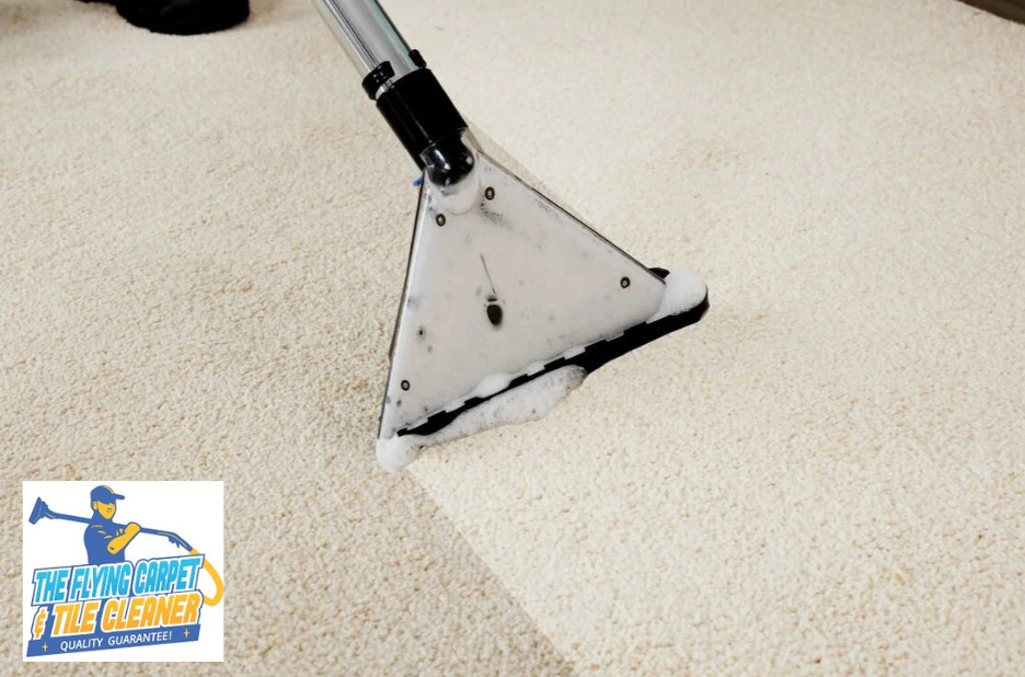 Refresh Your Furniture: Expert Upholstery Care for a Pristine Finish
