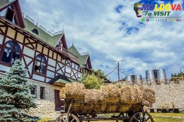 Explore Moldova: immersive tours with expert guides