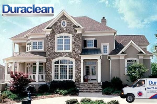 Revive Your Carpets with Expert Cleaning in Lovespark