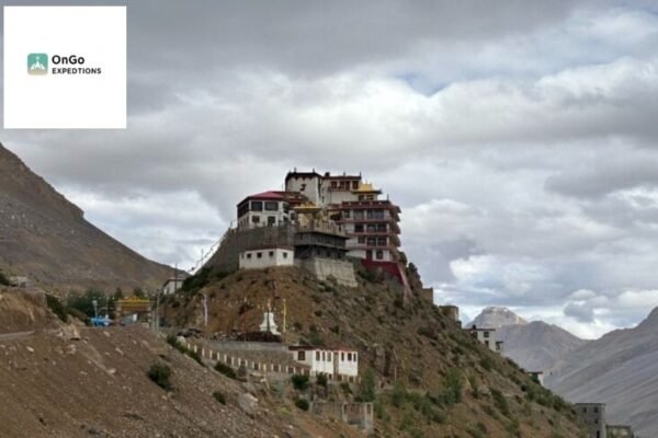 Explore Thrilling Journeys with Intimate Adventure Groups