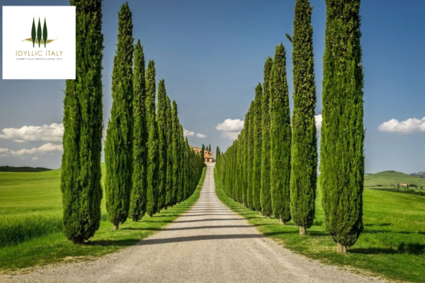 Luxurious Italian Villas Near Lucca: Private Pools, Gardens & Charm