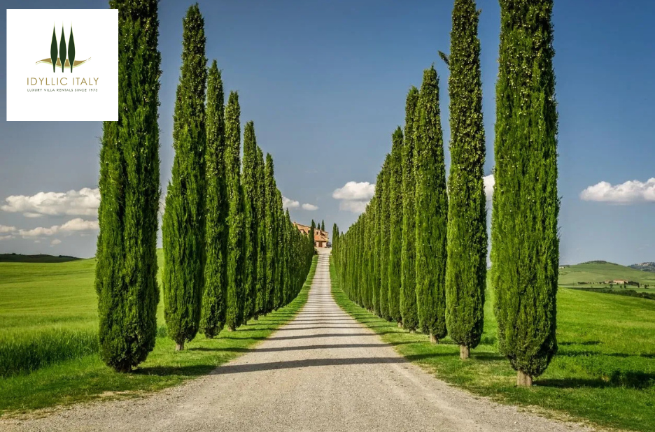 Luxurious Italian Villas Near Lucca: Private Pools, Gardens & Charm