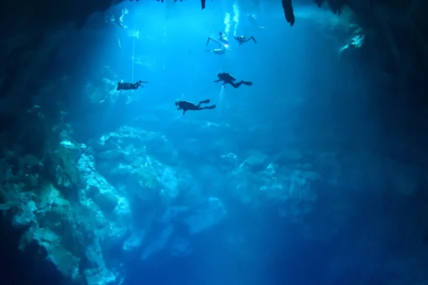 Explore Hidden Cenotes: A Diver’s Guide to Tulum’s Water Wonders