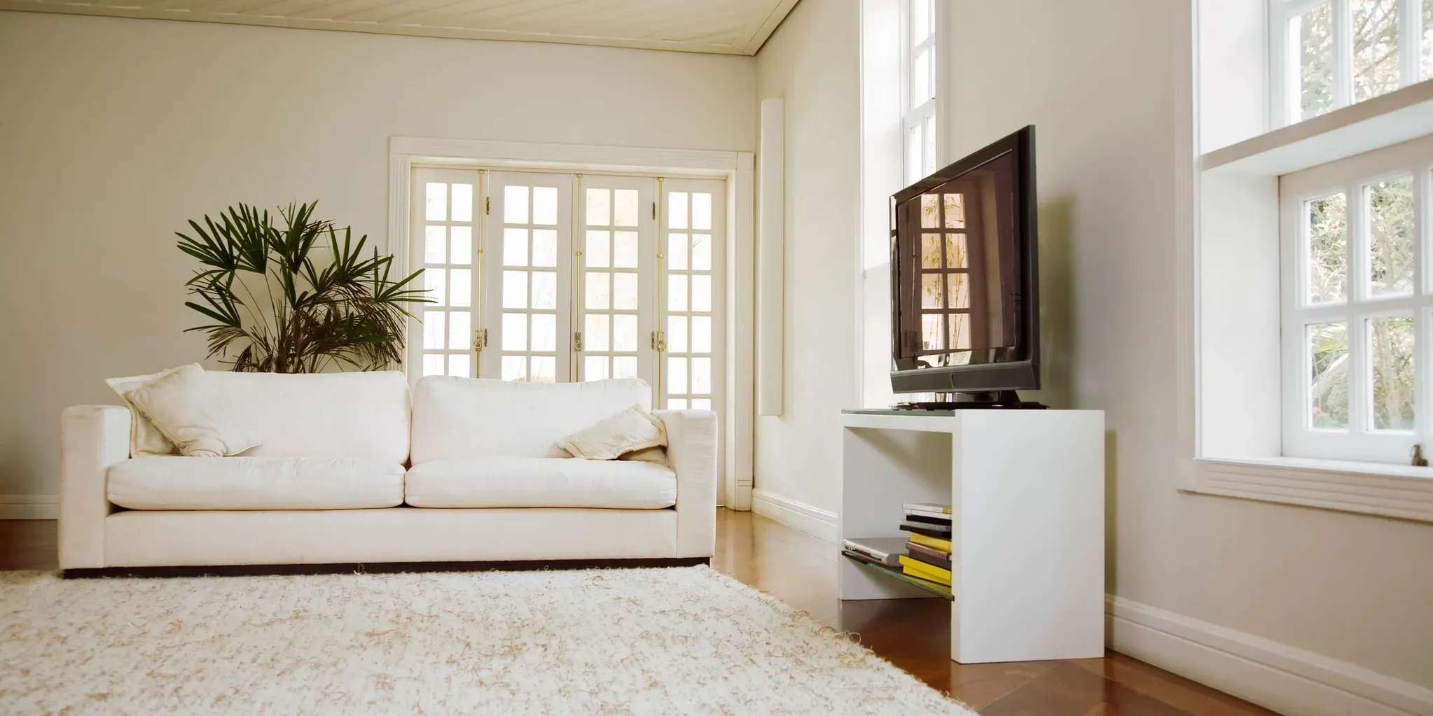Premium Rug Care in San Jose – Expert Cleaning & Care