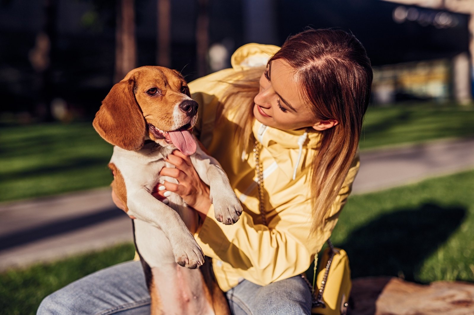 Compassionate End-of-Life Care for Your Pet Nearby