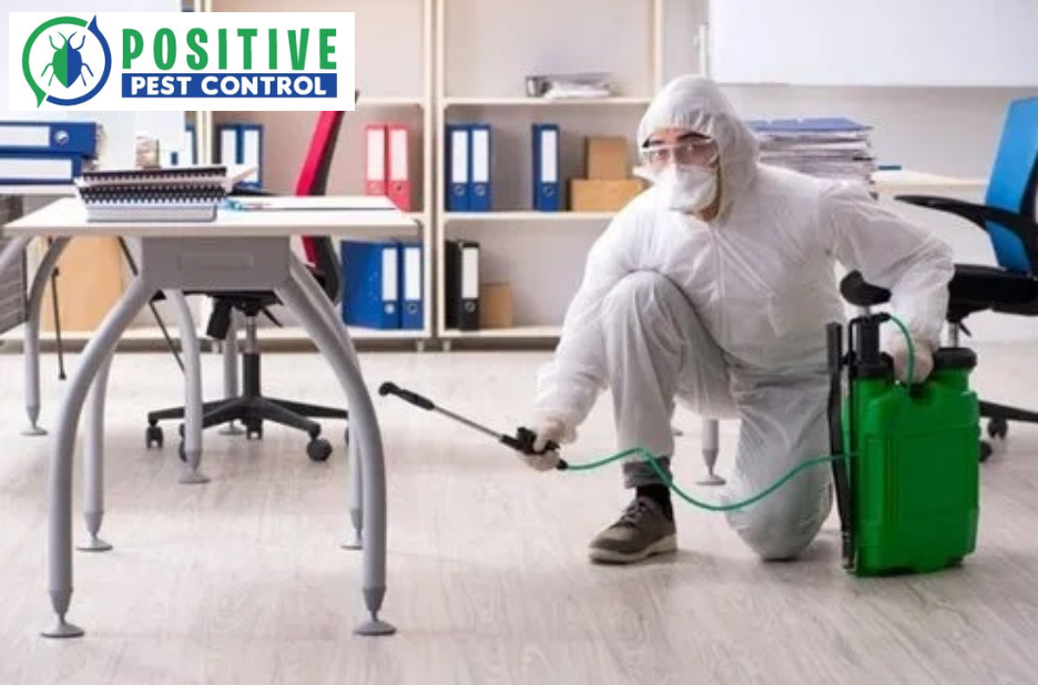 Expert Wasp Nest Removal in Calgary you can trust