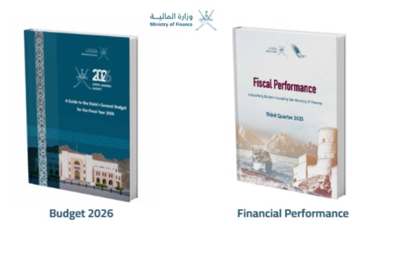Transparent Financial Reporting: A Practical Guide for Public Sector Budgets